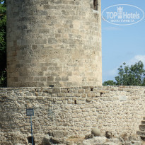 фото из отзыва ID 1799307