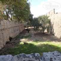 фото из отзыва ID 1799307