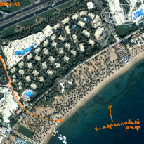 фото из отзыва ID 180363