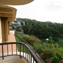 фото из отзыва ID 180894