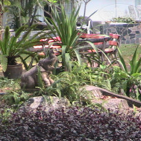 фото из отзыва ID 180897