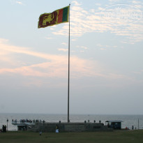 фото из отзыва ID 180894