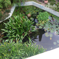 фото из отзыва ID 180894