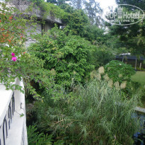 фото из отзыва ID 180894