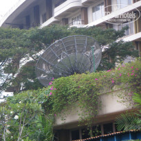 фото из отзыва ID 180894