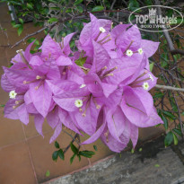 фото из отзыва ID 180894