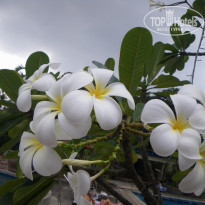 фото из отзыва ID 180894