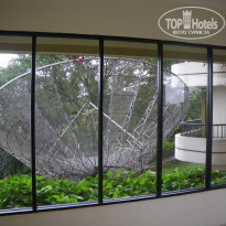 фото из отзыва ID 180894