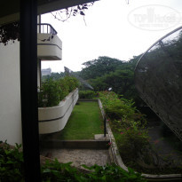 фото из отзыва ID 180894