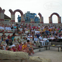 фото из отзыва ID 1800030