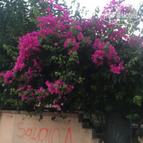 фото из отзыва ID 1800103