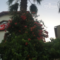 фото из отзыва ID 1800103