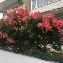 фото из отзыва ID 1800103