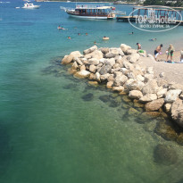 фото из отзыва ID 1800106