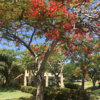 фото из отзыва ID 1800146