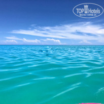 фото из отзыва ID 1800146