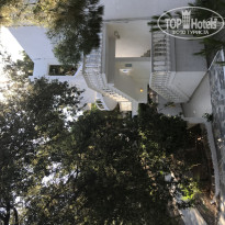 фото из отзыва ID 1800043