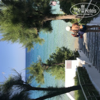 фото из отзыва ID 1800043