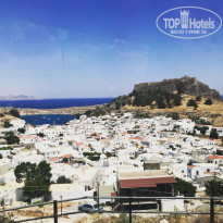 фото из отзыва ID 1800043