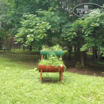 фото из отзыва ID 1800285