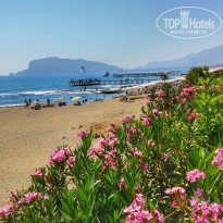 фото из отзыва ID 1800517