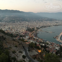 фото из отзыва ID 1800595