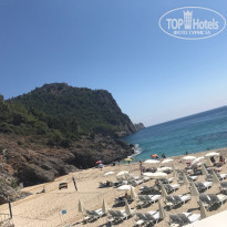 фото из отзыва ID 1800595