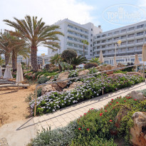 фото из отзыва ID 1800778