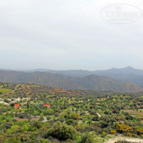 фото из отзыва ID 1800778