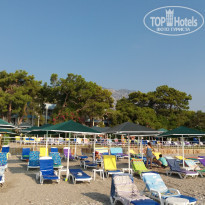 фото из отзыва ID 1800813