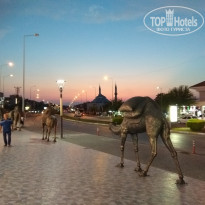 фото из отзыва ID 1800842