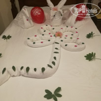 фото из отзыва ID 1800868