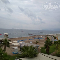 фото из отзыва ID 1800871