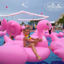 фото из отзыва ID 1800871