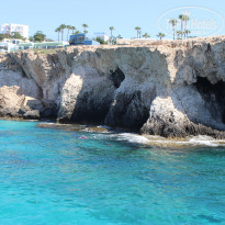 фото из отзыва ID 1800885