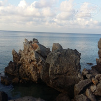 фото из отзыва ID 1800950