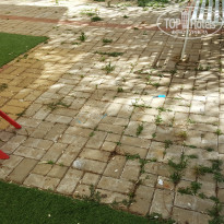 фото из отзыва ID 1801013