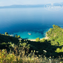 фото из отзыва ID 1801040