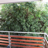 фото из отзыва ID 1801546