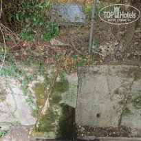 фото из отзыва ID 1801546