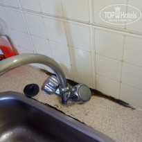 фото из отзыва ID 1801637