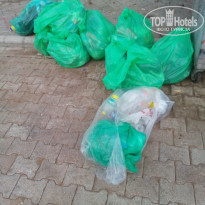 фото из отзыва ID 1801814