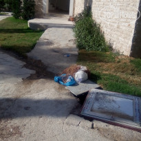 фото из отзыва ID 1801987