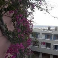 фото из отзыва ID 1802057