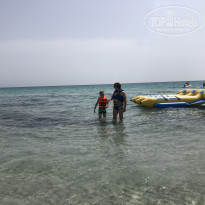 фото из отзыва ID 1802098