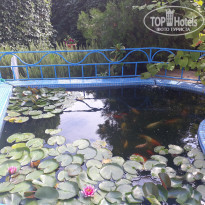 фото из отзыва ID 1802105