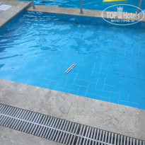 фото из отзыва ID 1802126