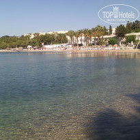 фото из отзыва ID 1802142