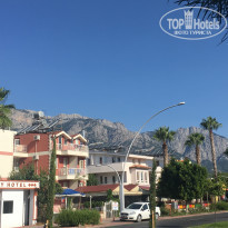 фото из отзыва ID 1802268