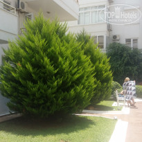 фото из отзыва ID 1802375